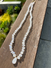 Load image into Gallery viewer, Hydrangea collection