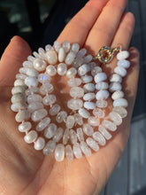 Load image into Gallery viewer, Hydrangea collection