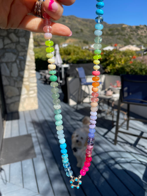 Blossom rainbow